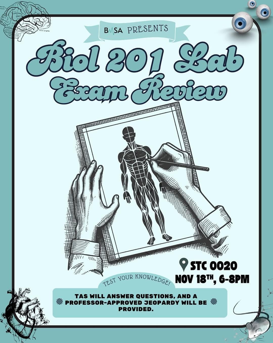 Anatomy Review Night