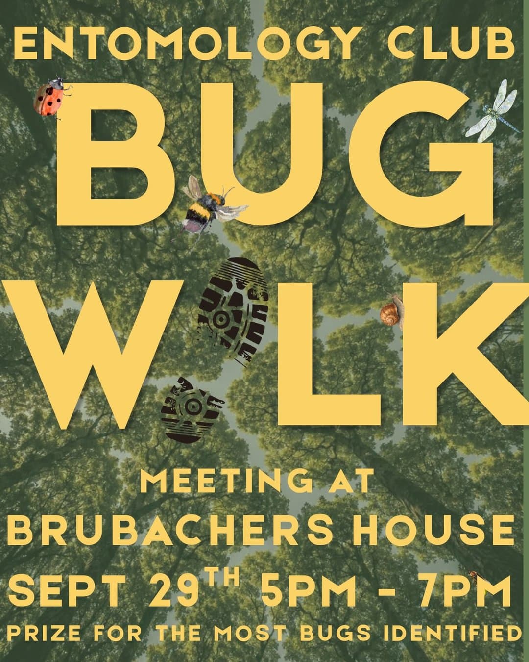 Bug Walk/Bioblitz