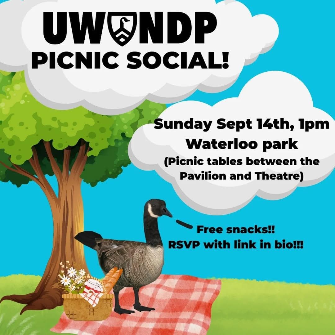 Picnic Social