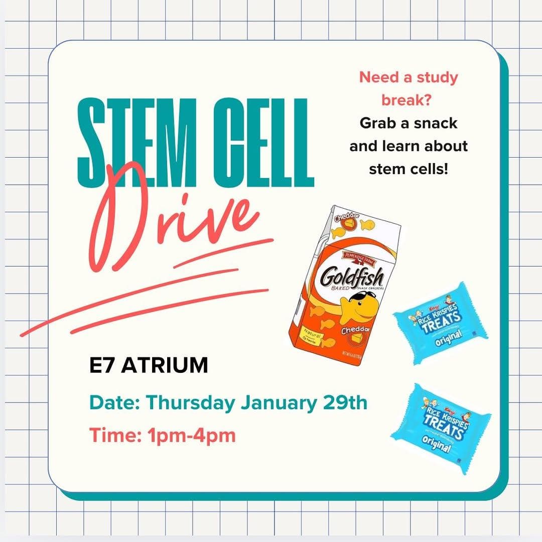 Stem Cell Drive