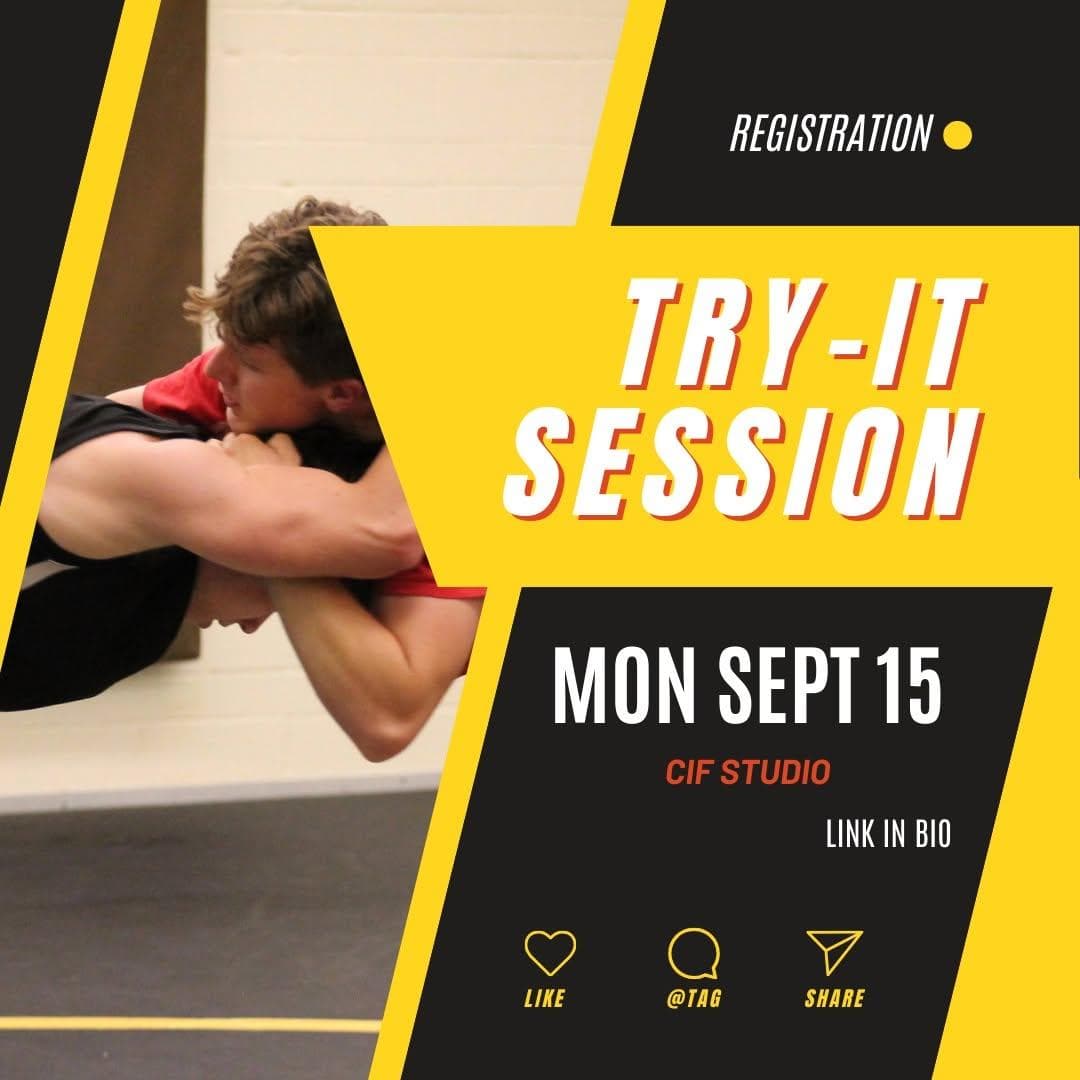 Try-It Session