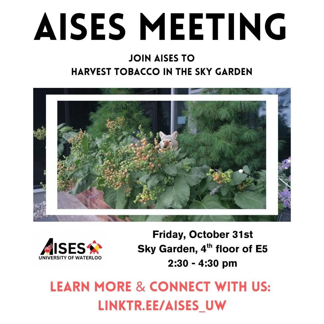 AISES Meeting