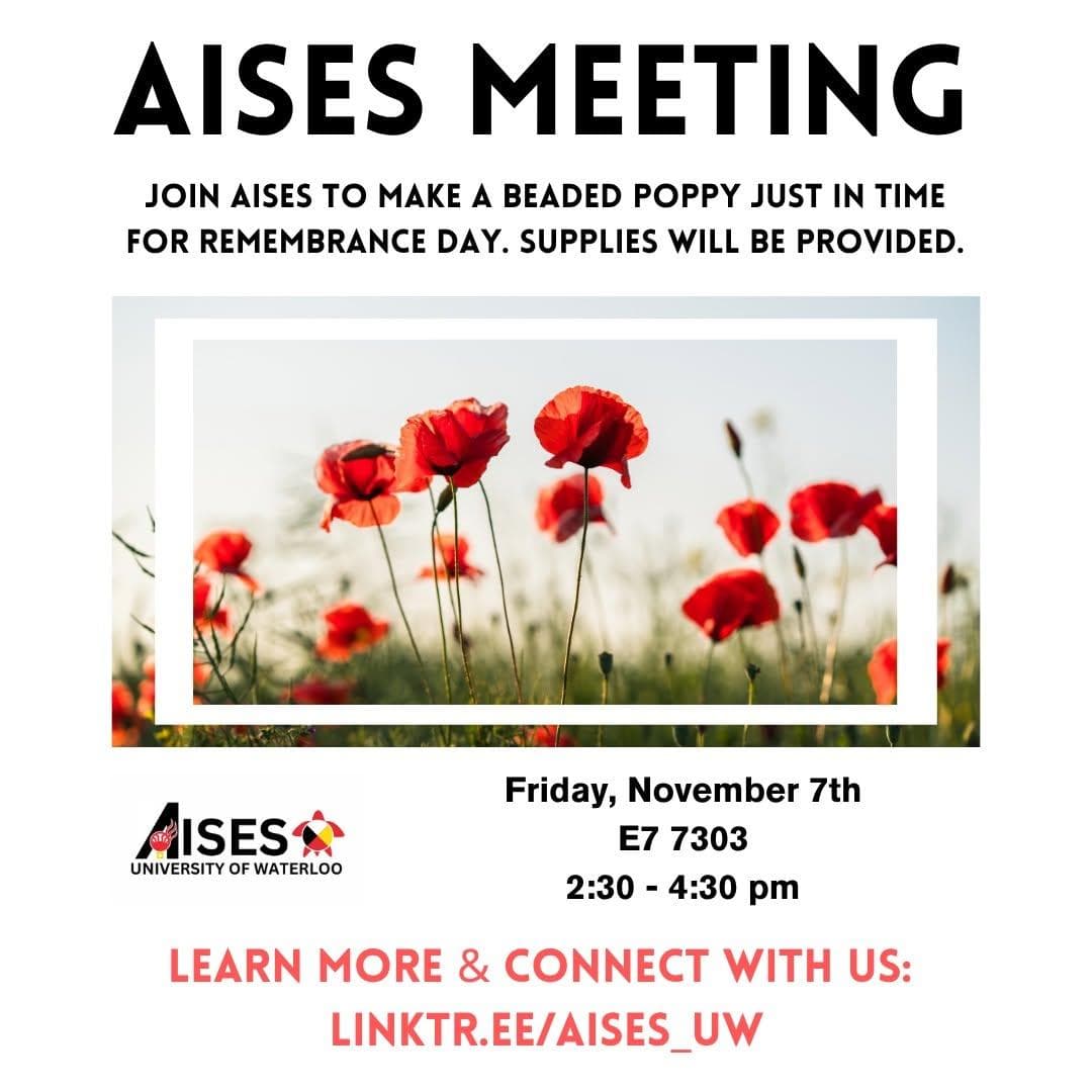 AISES Meeting