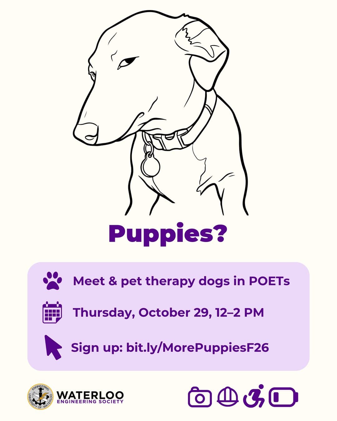 Pet Therapy Dogs