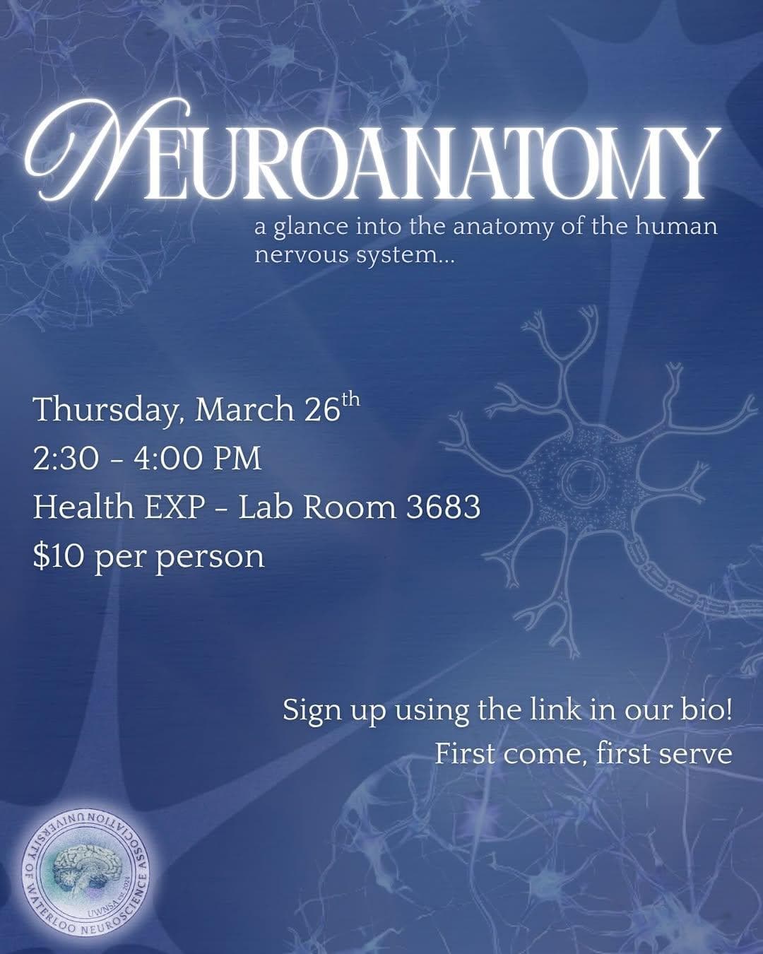 Neuroanatomy