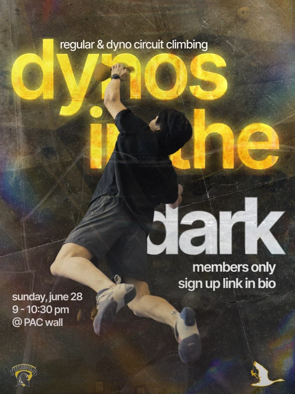 Dynos In The Dark