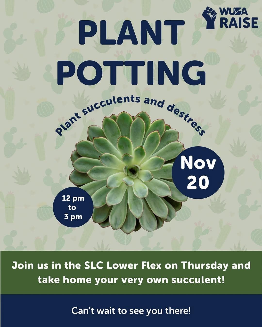 Plant Potting