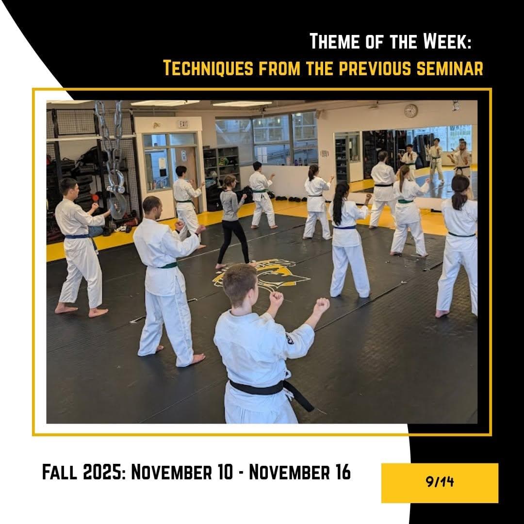 Karate Class: Techniques From The Previous Seminar