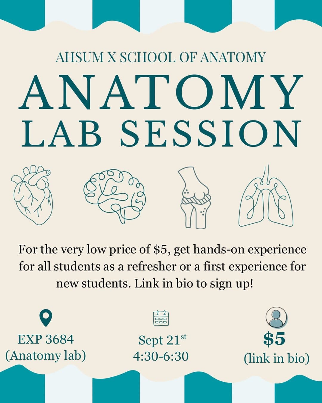 Anatomy Lab Session