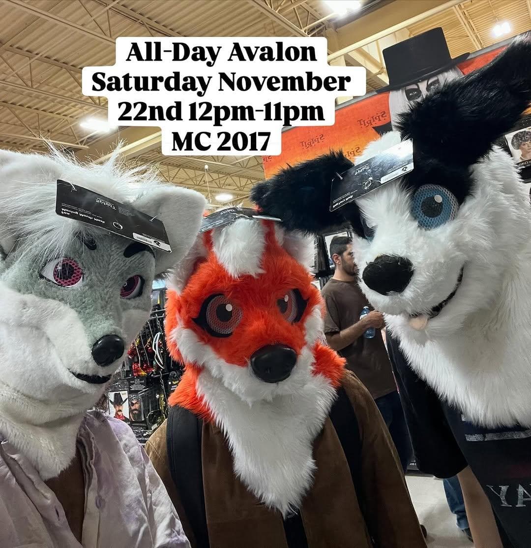 All-Day Avalon