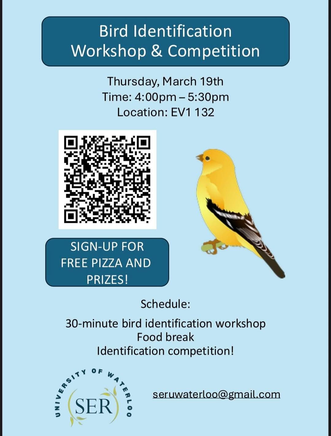 Bird Identification Workshop & Competition