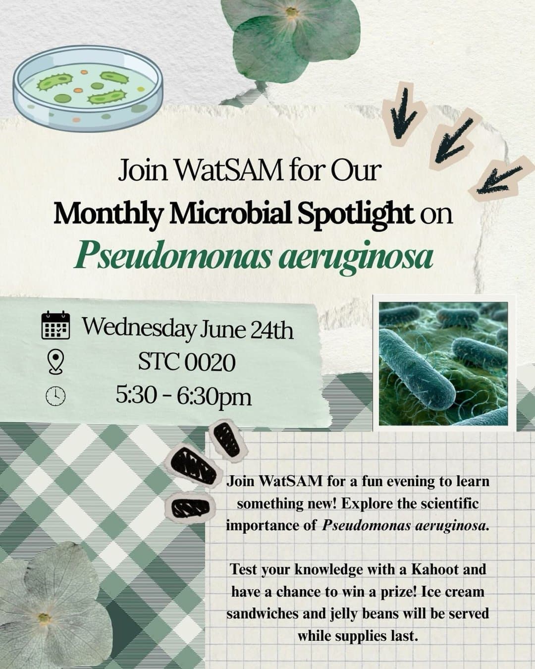 Monthly Microbial Spotlight On Pseudomonas Aeruginosa