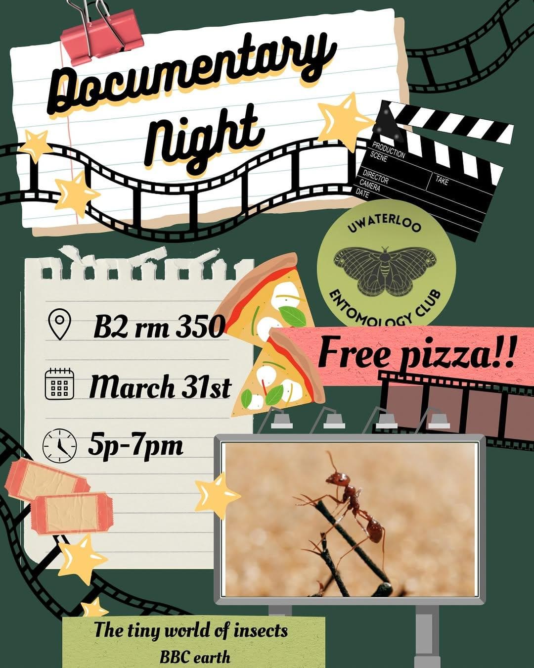 Documentary Night: The Tiny World Of Insects