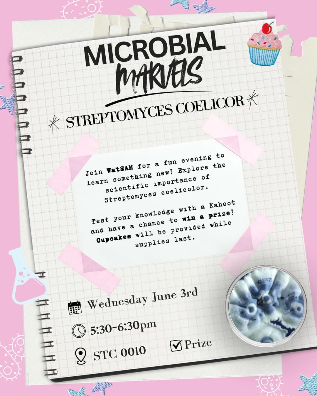 Microbial Marvels: Streptomyces Coelicolor