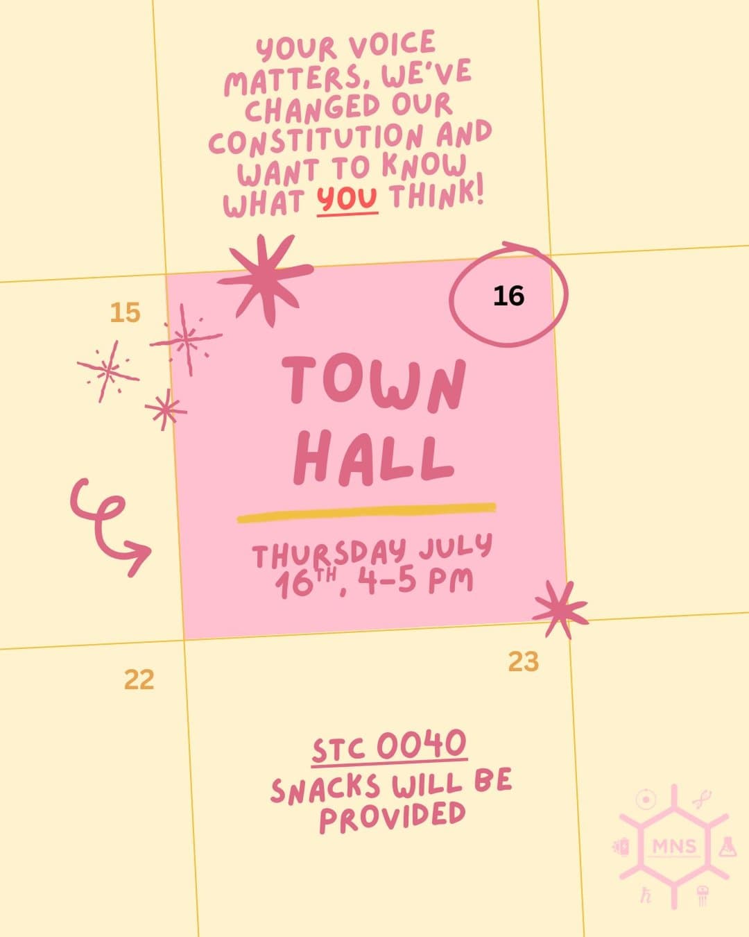 MNS Town Hall