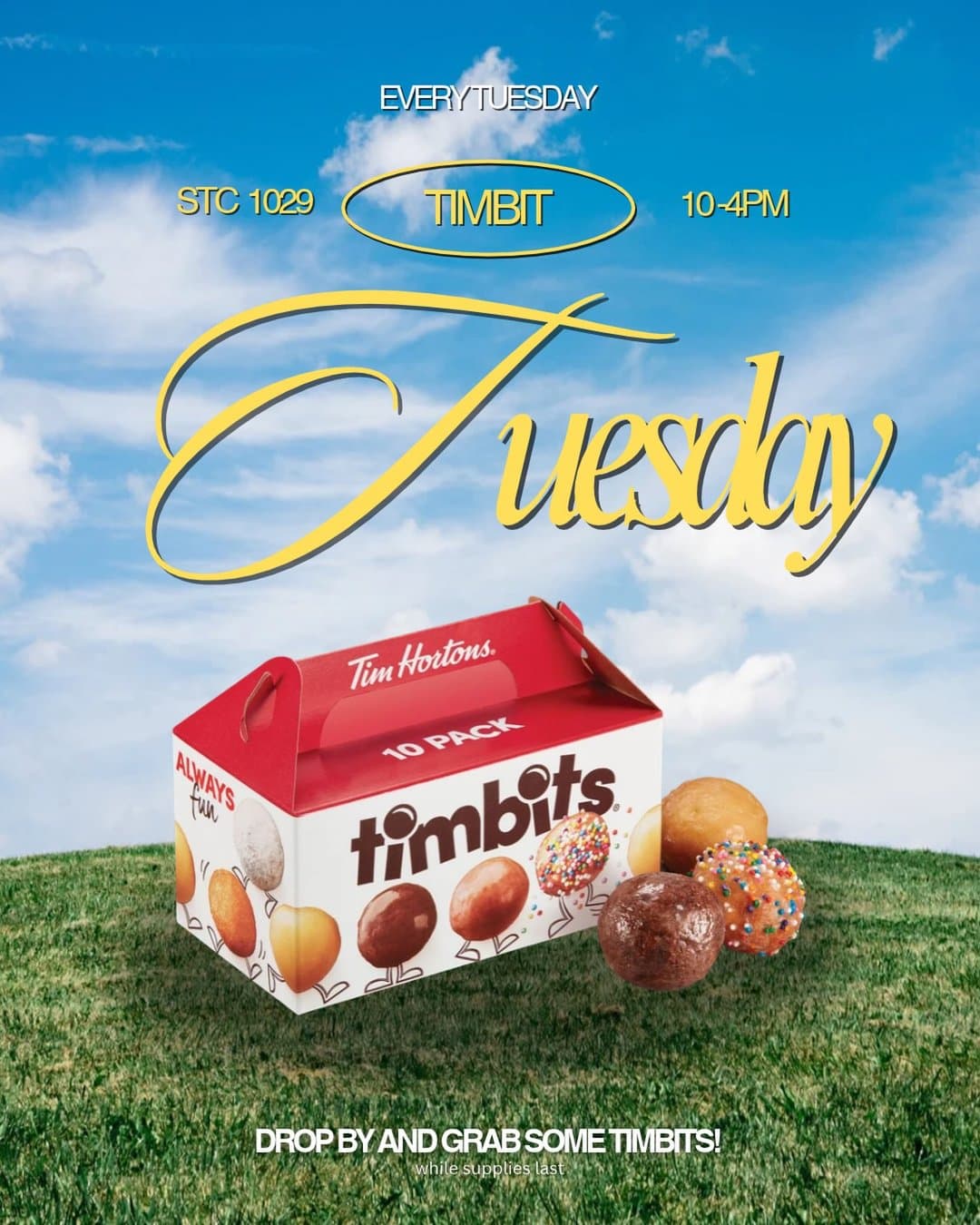 Timbit Tuesday