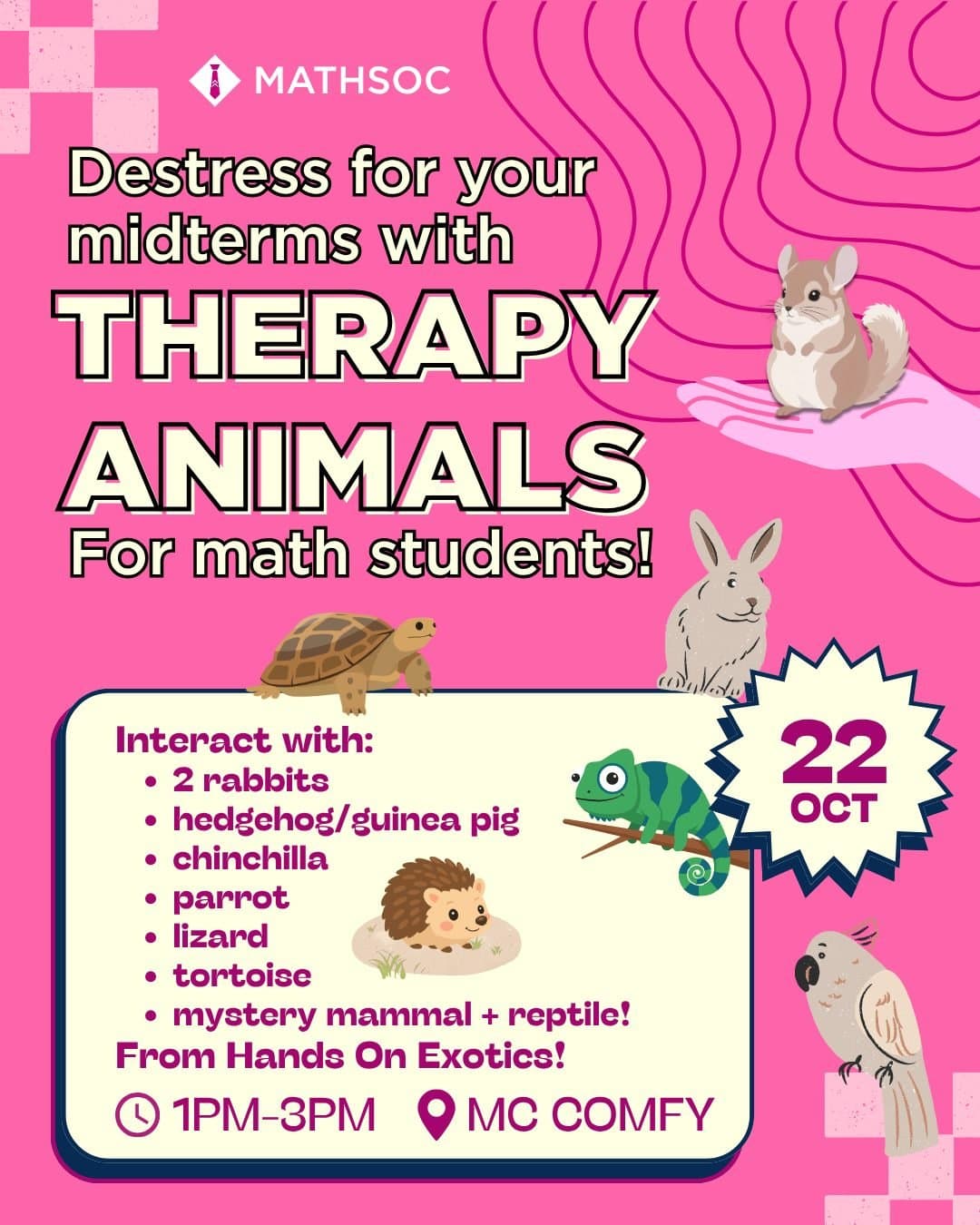 Therapy Animals for Math Students