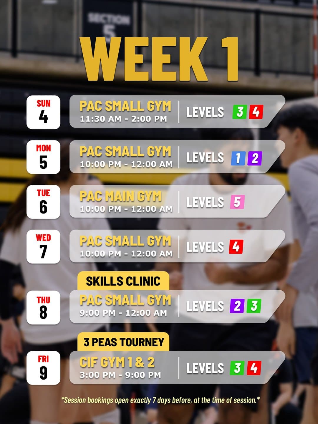 Volleyball Session