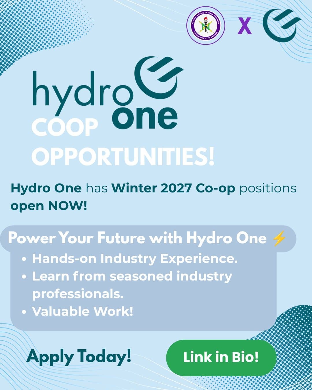 Winter Co-op