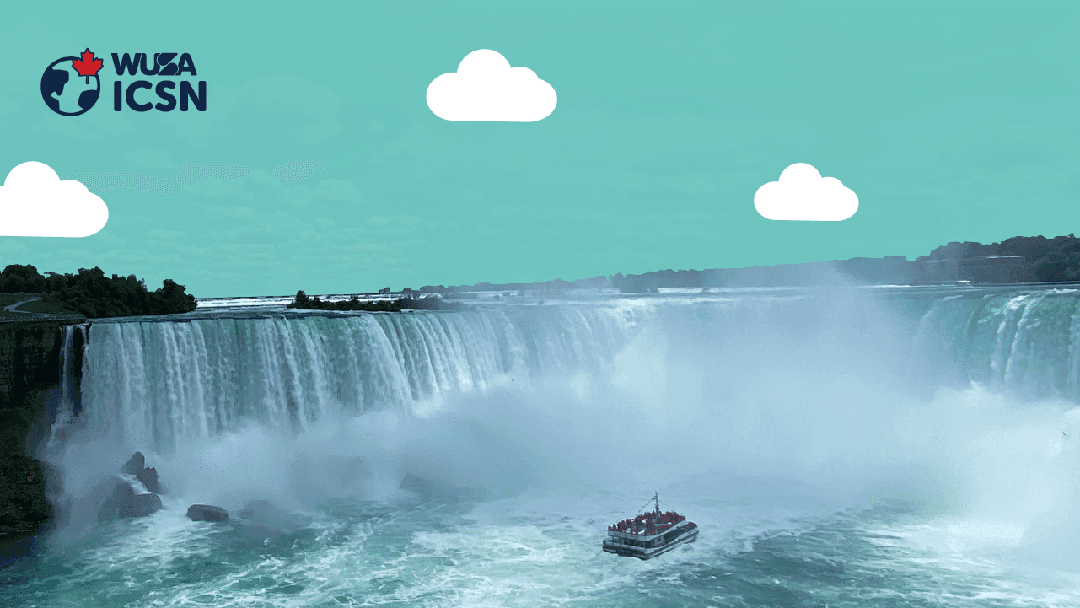 Niagara Falls Trip